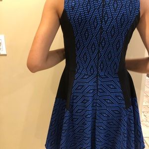 Easy to wear fitted/flare dress